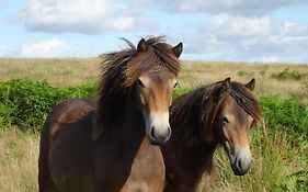Exmoor Bnb In Withypool On Two Moors Way