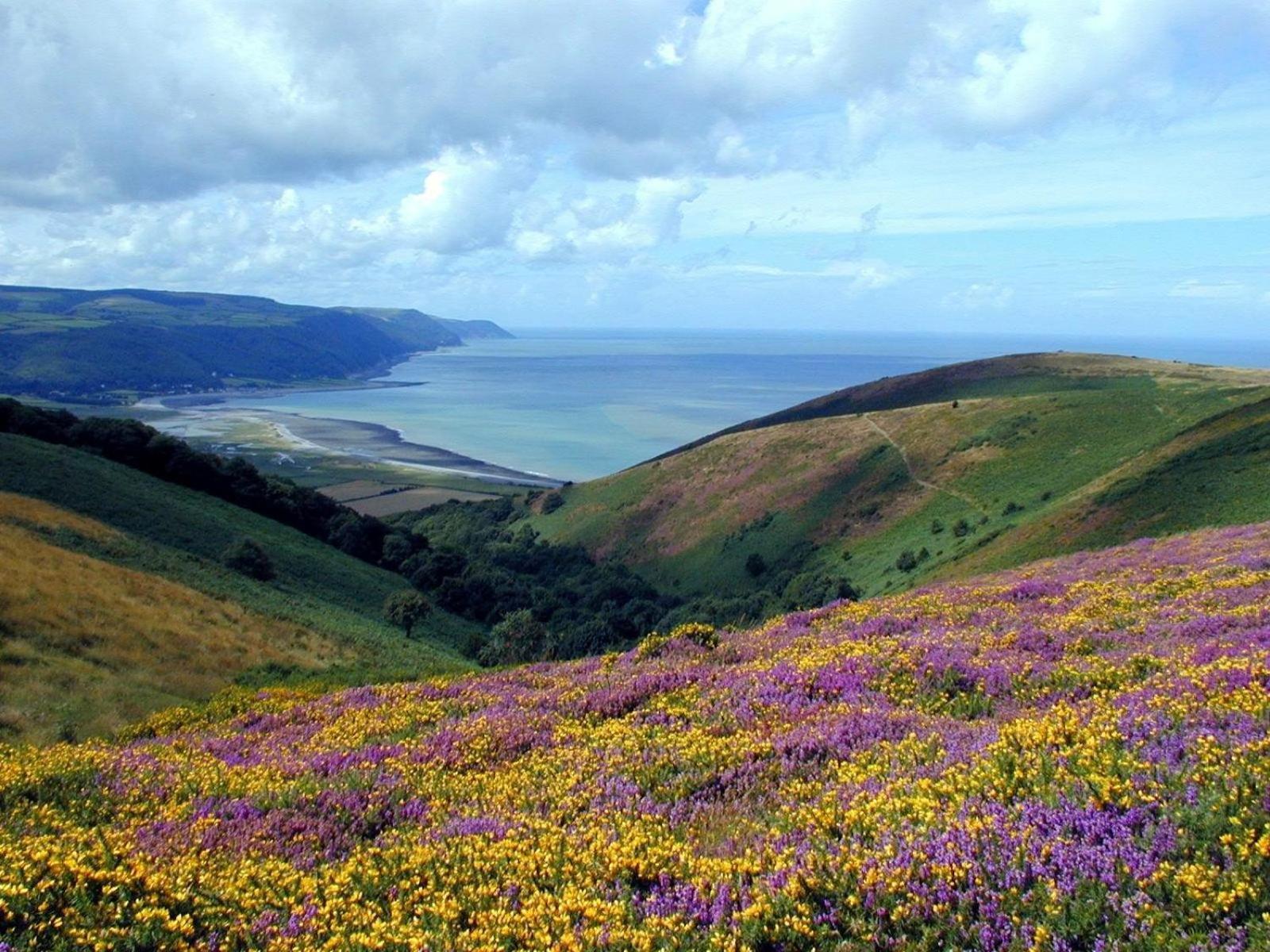 Exmoor Bnb In Withypool On Two Moors Way Exterior photo