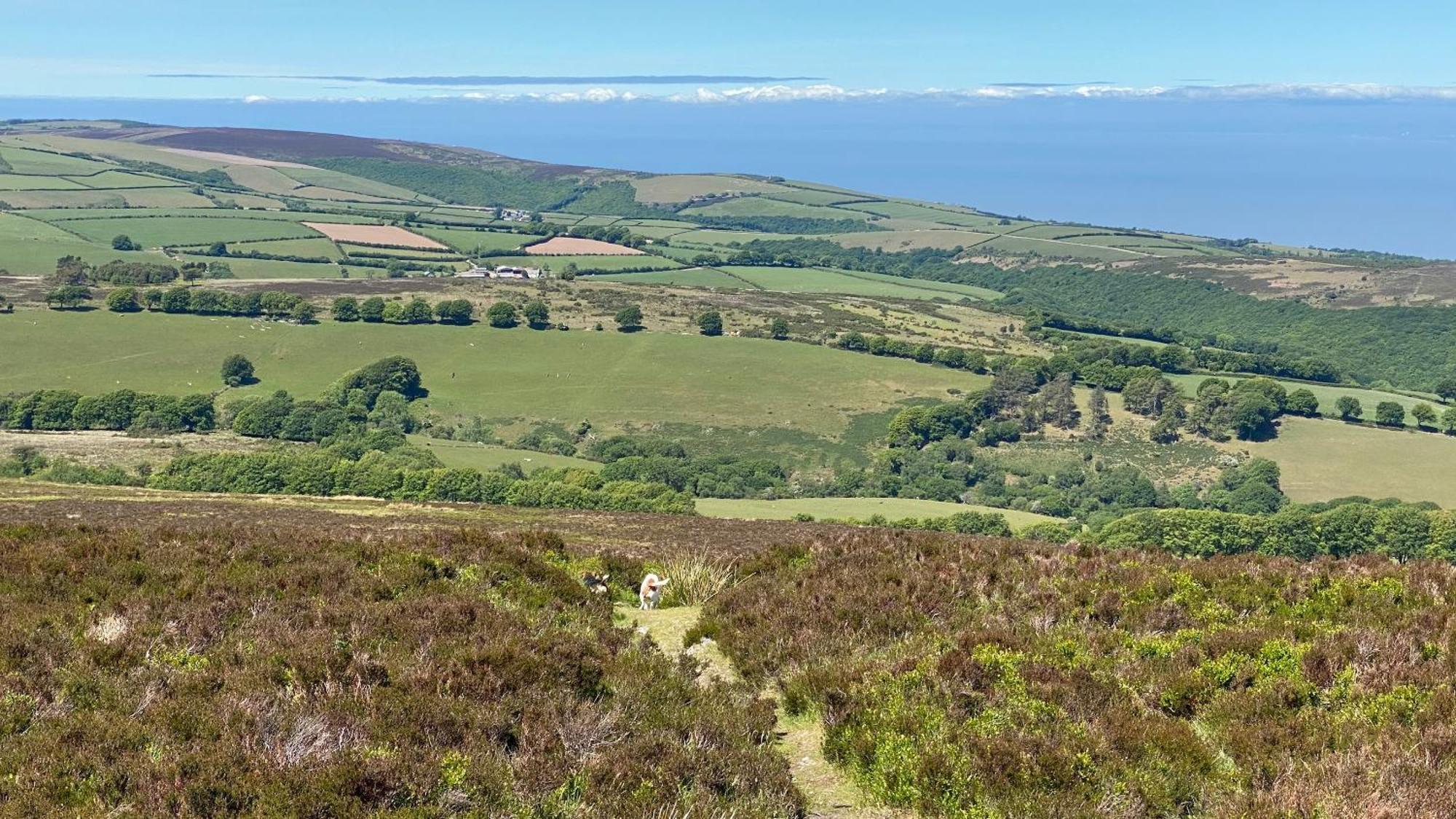 Exmoor Bnb In Withypool On Two Moors Way Exterior photo